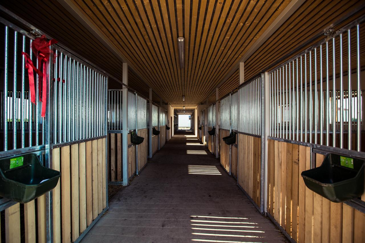 Kentaur Lovaspanzio Hódmezővásárhely Exterior foto